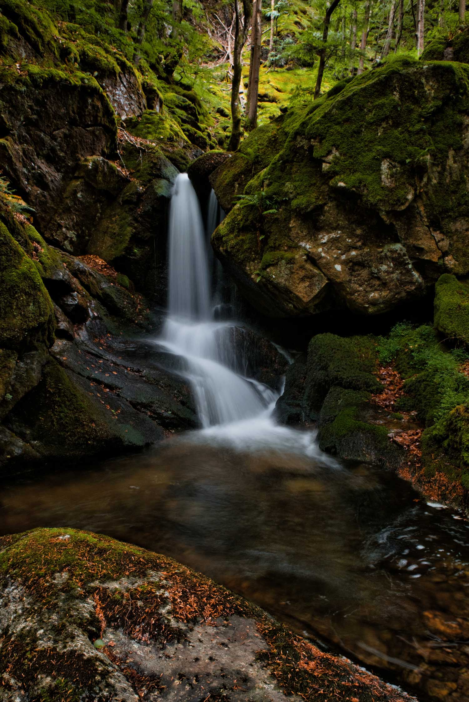 Cascade de mousse